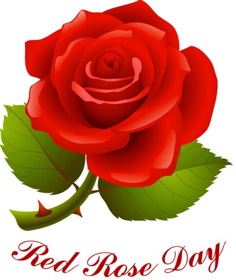 happy rose day png